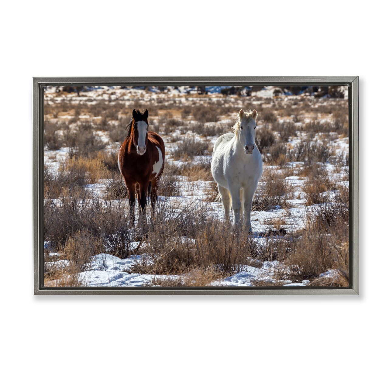 Stupell Industries Arches Horse Pair in Snow Floating Frame, design by Jeff Poe Photography